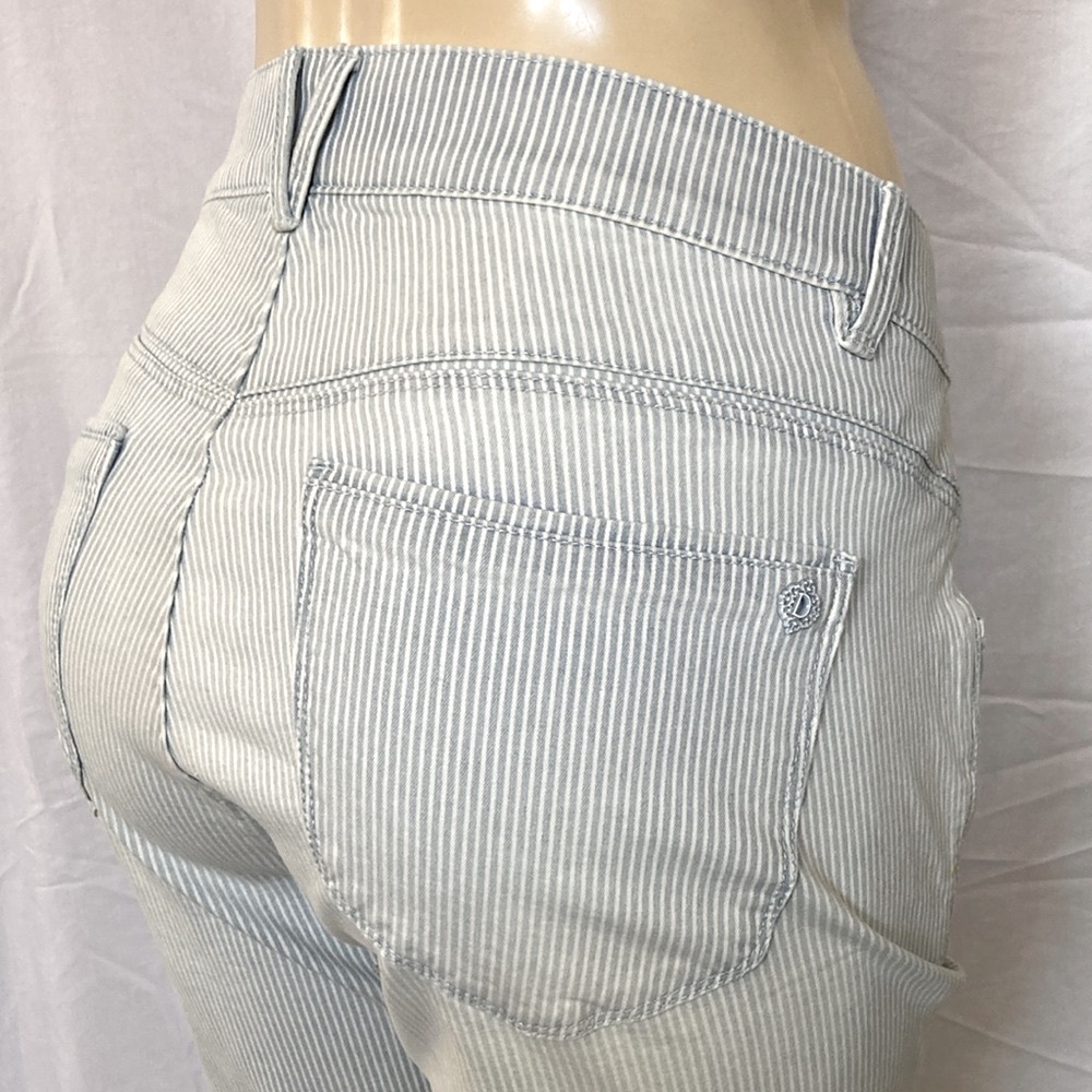 Democracy Light Blue Pinstripe Cropped Pants